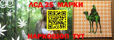мяу мяу кристалл Донецк