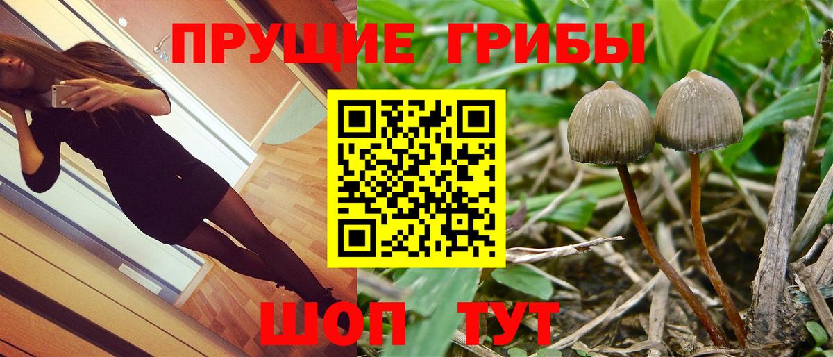 Псилоцибиновые грибы мухоморы  магазин  наркотиков  Курчатов  Вход с VPN 